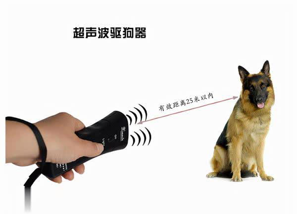 狗突然对空气狂吠后退发声，真能看到人看不到的东西？