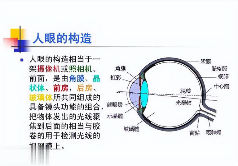 狗突然对空气狂吠后退发声，真能看到人看不到的东西？