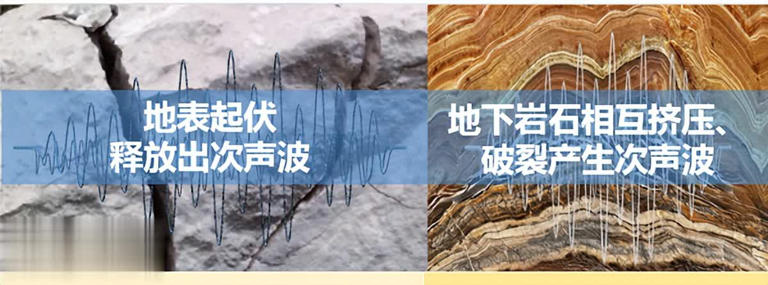 狗突然对空气狂吠后退发声，真能看到人看不到的东西？