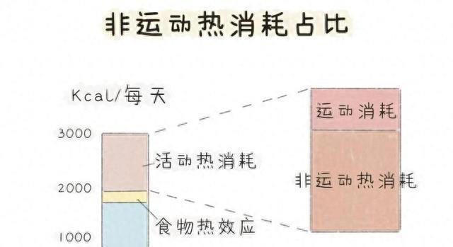 减脂，如何提高运动的燃脂效率，让减脂更高效