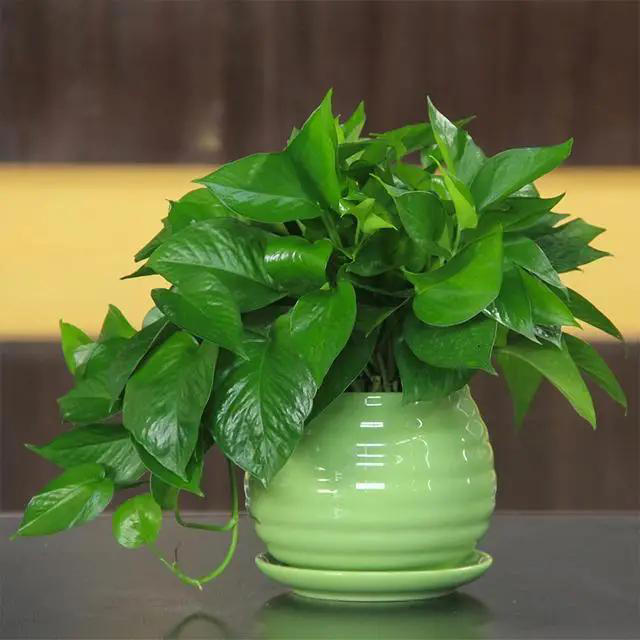 不是迷信！常睡房间别放这5种东西，都有科学依据