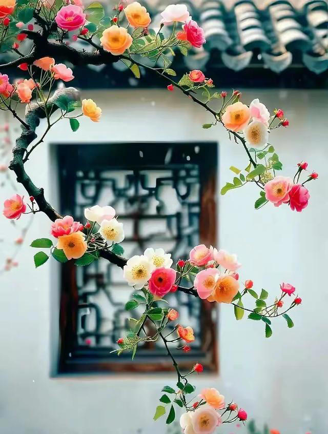 晚熬夜、白上班，长期睡眠不足人身体会怎样？全身处于炎症状态！