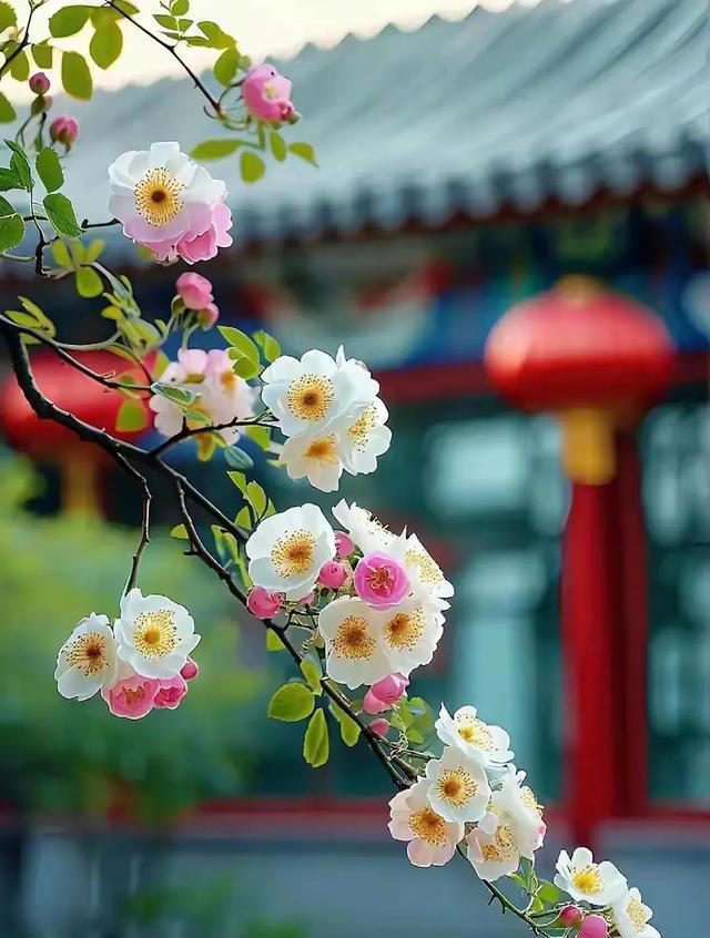 晚熬夜、白上班，长期睡眠不足人身体会怎样？全身处于炎症状态！