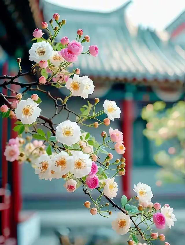 晚熬夜、白上班，长期睡眠不足人身体会怎样？全身处于炎症状态！