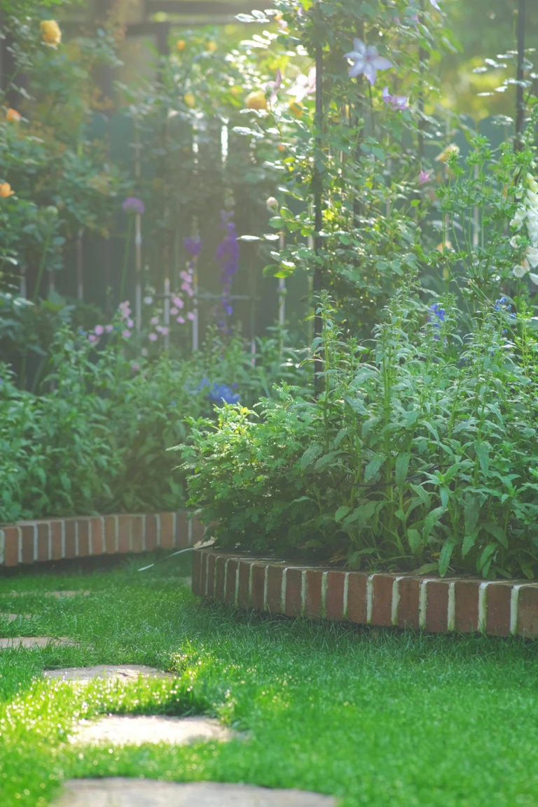 自从有了院子，每天过的都是向往的生活！ 