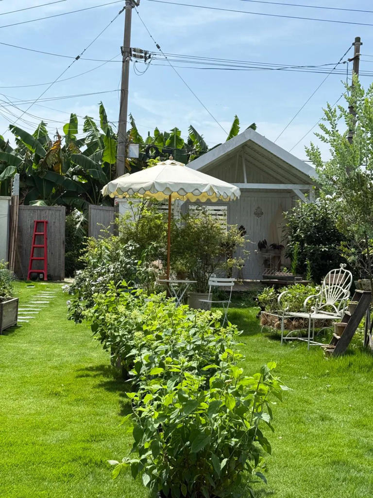 自从有了院子，每天过的都是向往的生活！