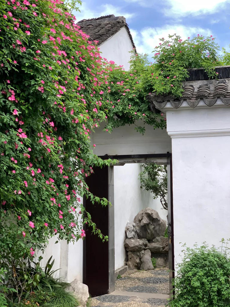 你的院子，怎能少了一面花墙？