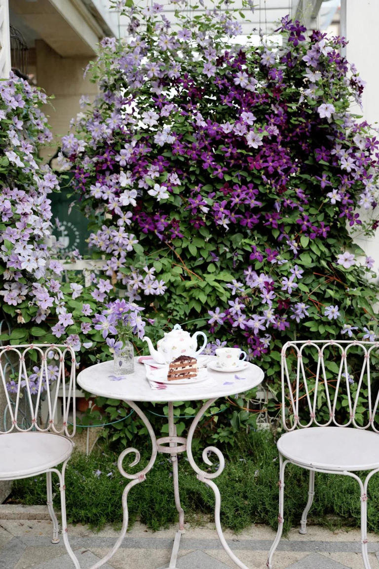 你的院子，怎能少了一面花墙？