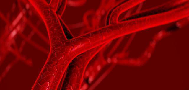 核桃是早上吃好，还是晚上吃好？每天吃几颗核桃，有哪些好处坏处