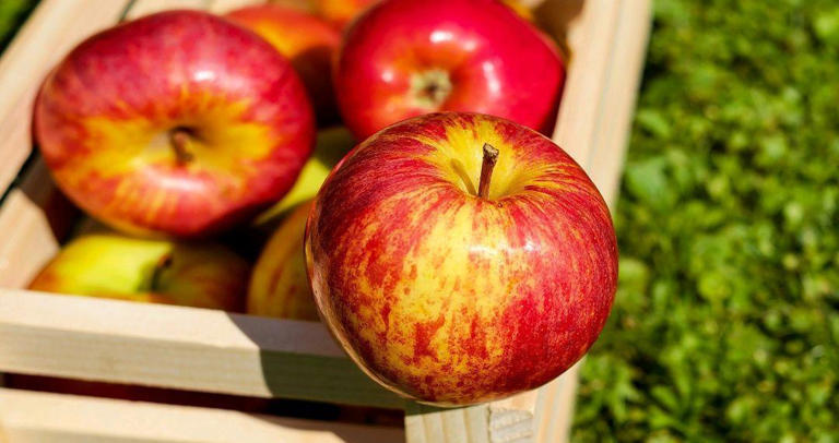 早起后坚持吃一个苹果，4个好处或许“不请自到”，请多重视