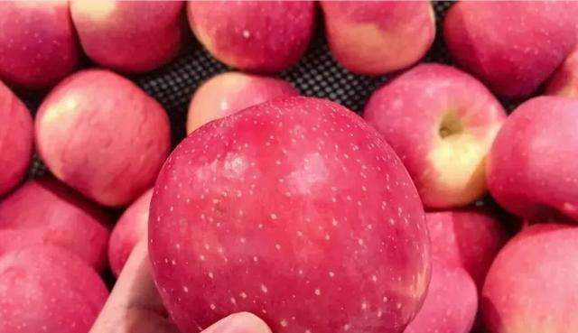 吃苹果要注意！这2个时间别吃，对身体没好处，很多人不懂