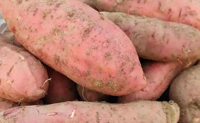 老人常吃红薯身体好？3大好处让人意外，稳血糖护血管！