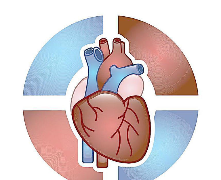 高血压者应知应会：血压是否控制好了，主要看什么时间的血压？