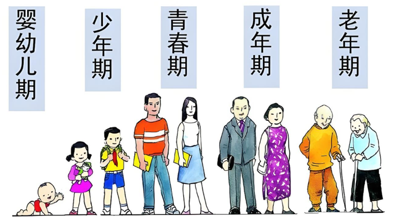 男人在哪个年龄段，最离不开女人？心理学家的答案很统一