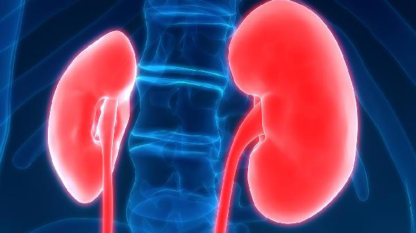 肾病最怕的早餐！医生多次劝告：肌酐高的人，早餐可多吃这几样