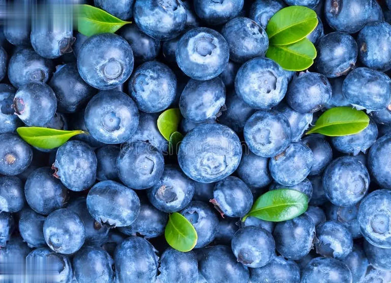 花青素是什么？哪些果蔬含量高？为何蓝莓那么贵？