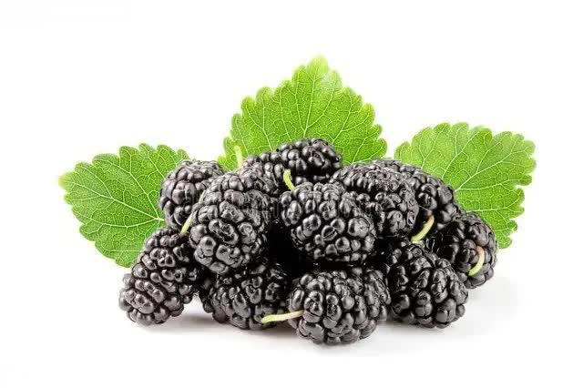 花青素是什么？哪些果蔬含量高？为何蓝莓那么贵？