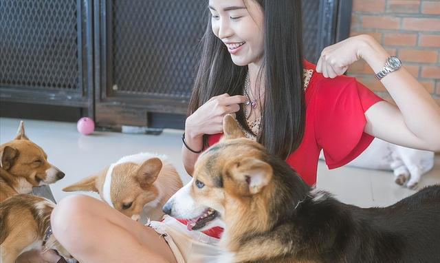 养狗和养猫的差异有多大？铲屎官：太真实了