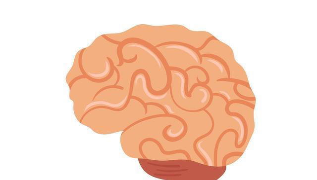 58岁大婶脑萎缩，是缺少蛋白质？医生：常吃3样，大脑越来越年轻