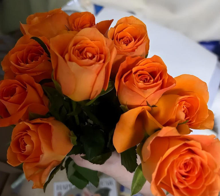 睡觉的房间，不建议放这4样“东西”，影响睡眠还不安全！