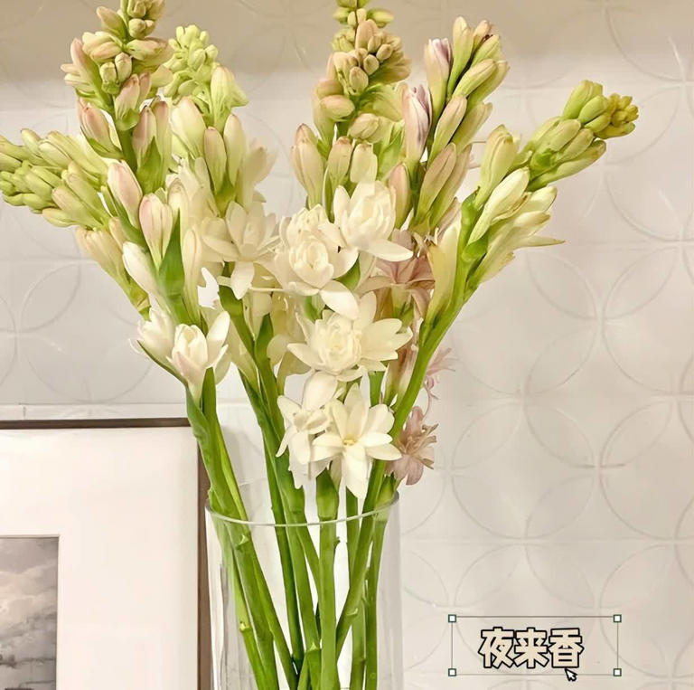 睡觉的房间，不建议放这4样“东西”，影响睡眠还不安全！