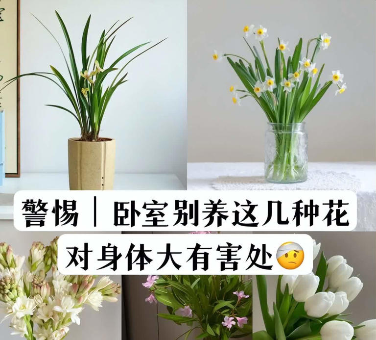 睡觉的房间，不建议放这4样“东西”，影响睡眠还不安全！