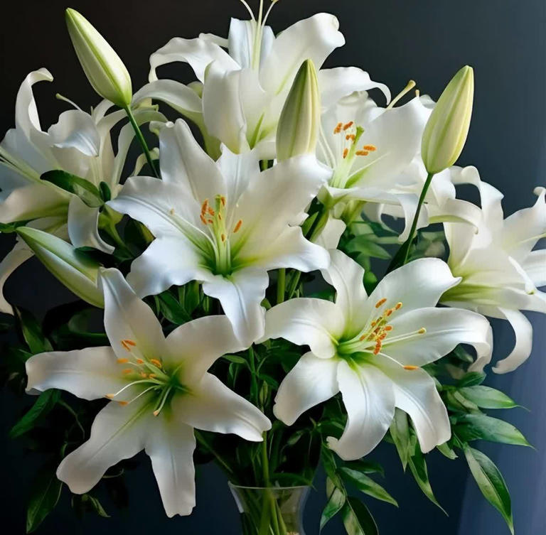 睡觉的房间，不建议放这4样“东西”，影响睡眠还不安全！