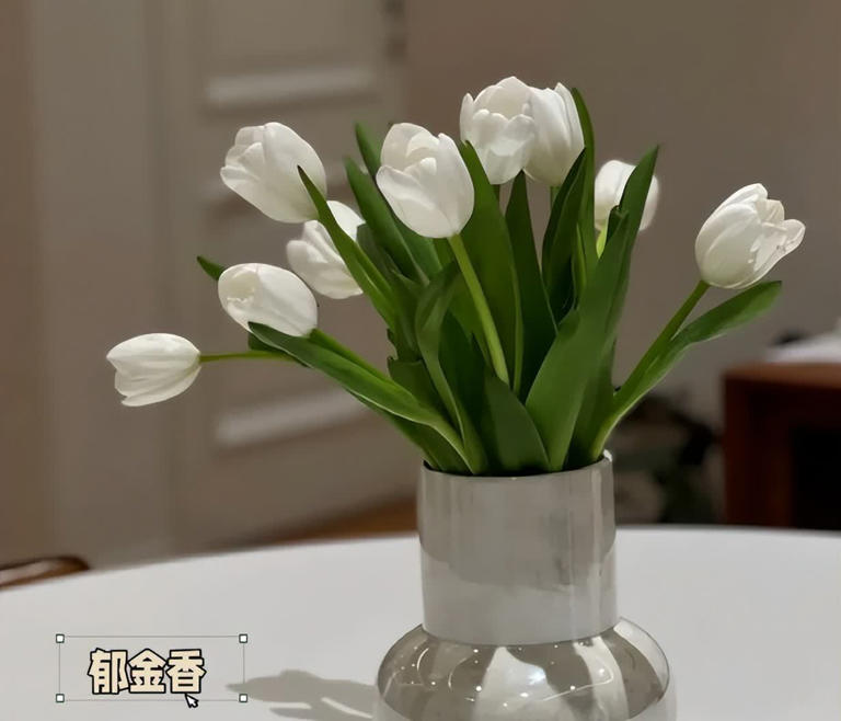 睡觉的房间，不建议放这4样“东西”，影响睡眠还不安全！