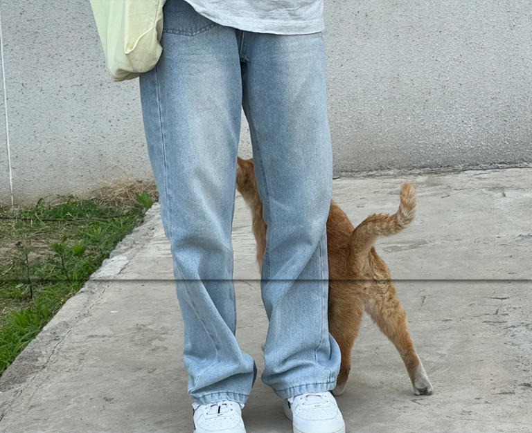 别傻了！猫咪认主不看喂养，这5个细节才是爱你的证明！