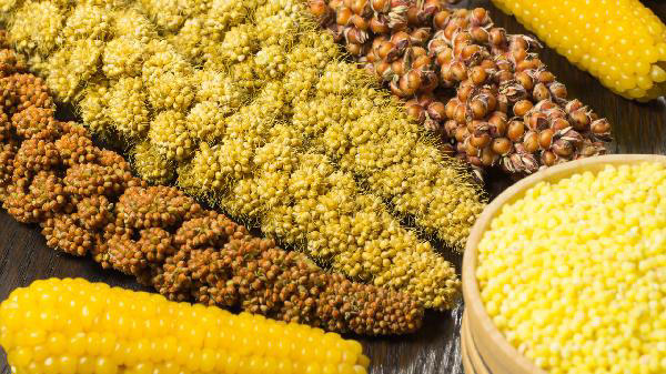 多名院士呼吁：停止食用“5粗粮”，或对甲功不利，建议管住嘴，关键在这几种吃法！