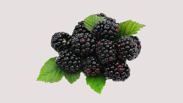 桑葚成为焦点！医生：患这4种疾病的人谨慎食用，千万要忌口