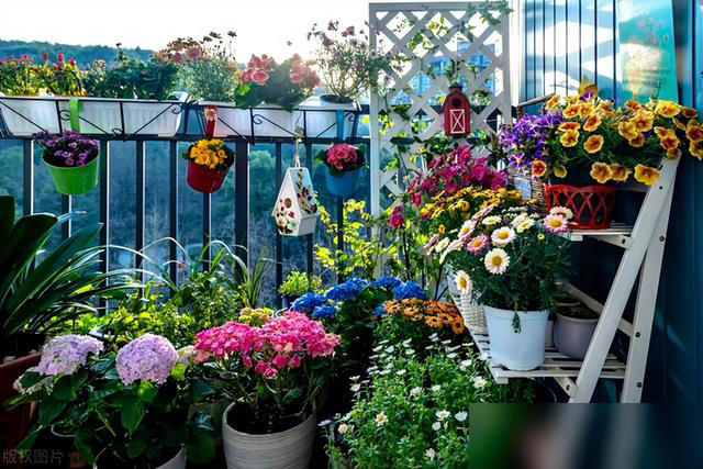 身体不好别养这5种花，不是迷信是经验！