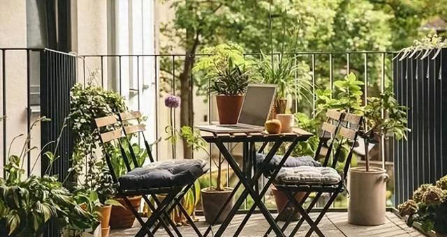 花香淡雅花型好看，养花就选这三种，好打理易开花！