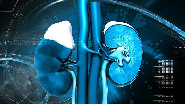 肾病去世的人逐渐增多! 医生建议：3不吃、2不喝、1努力，别大意