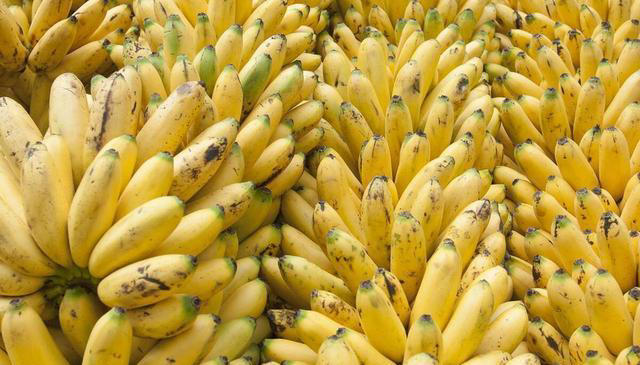 不能和香蕉一起吃的食物，建议早了解，可别吃错了伤身体