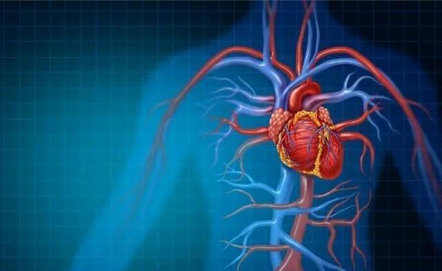 血压高点不是坏事，高血压的人反而更硬朗？建议快了解一下