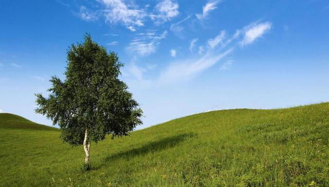 人老了，躺在病床上才醒悟：晚年最靠得住的，是这1点