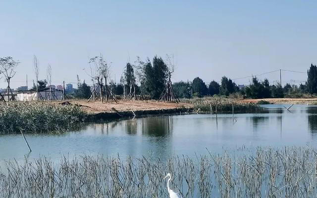 普通人的长寿标准：医生提醒，别太贪心，这个岁数已很幸福。