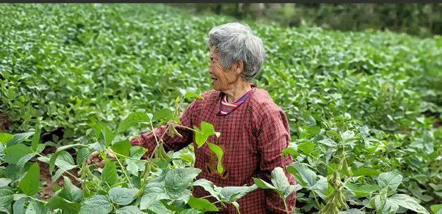 普通人的长寿标准：医生提醒，别太贪心，这个岁数已很幸福。
