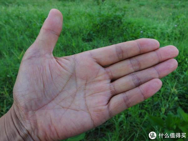 “男人断掌贵如金，女人断掌守空房”，有道理吗？
