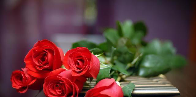 6种“养生花”，漂亮又好养，家中养一盆，食用价值高