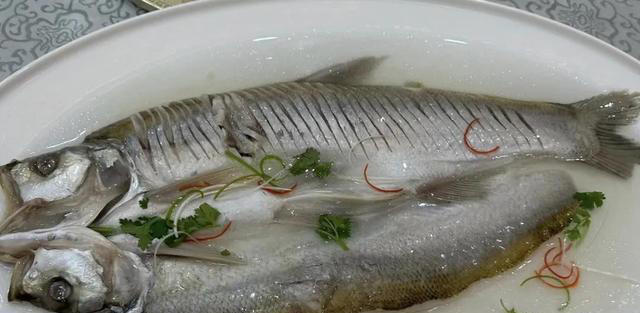 我国“四大名鱼”是指哪四种鱼？多数人只知道两种，你吃过几种？