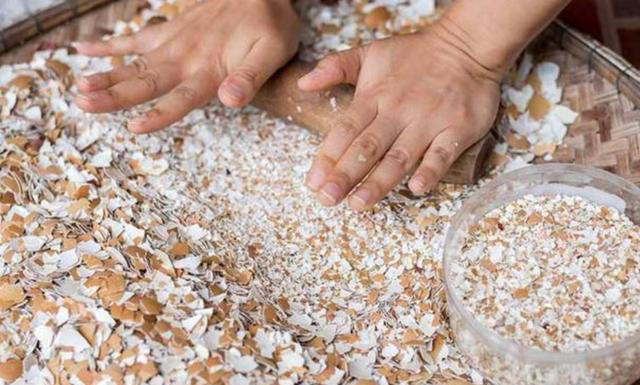 4种垃圾别扔，埋进花盆里松软透气，养啥花都很旺