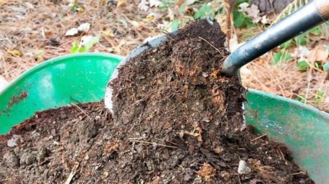 4种垃圾别扔，埋进花盆里松软透气，养啥花都很旺