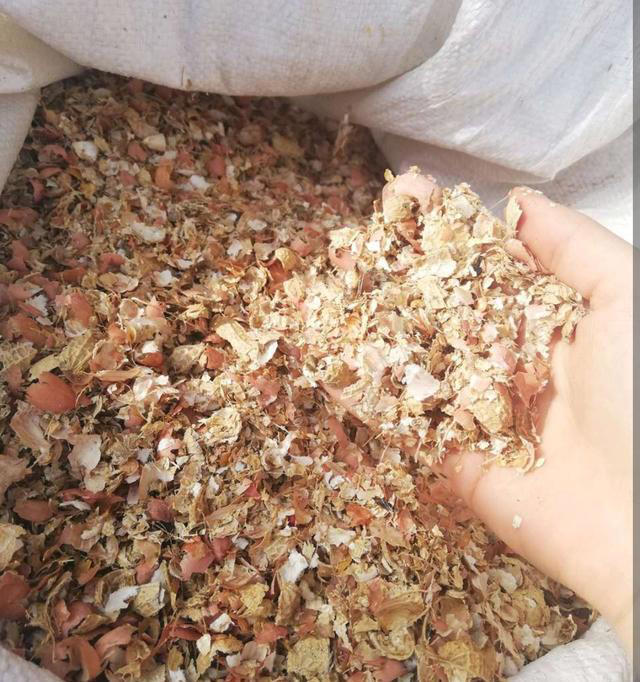 4种垃圾别扔，埋进花盆里松软透气，养啥花都很旺