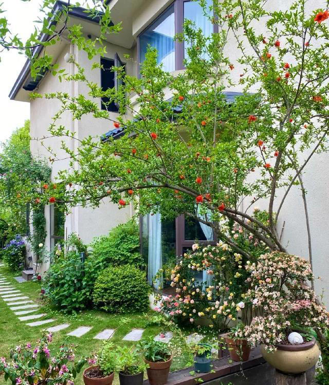 院子再小也要种8种树，老祖宗留下的“规矩”，寓意深远。