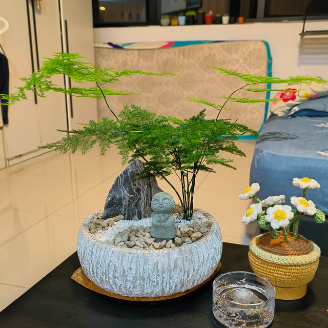 养花25年，这些花难伺候，养一次被虐一次