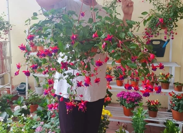 养花25年，这些花难伺候，养一次被虐一次