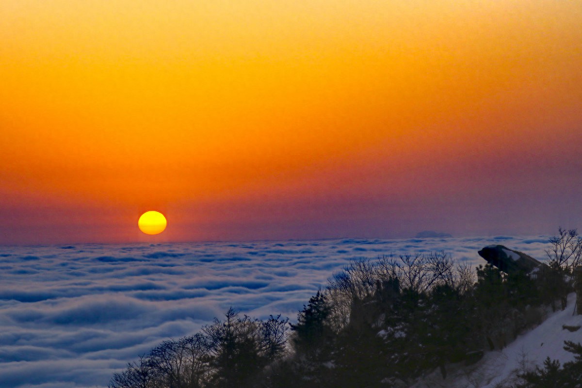 雪霁日出映云海 泰山之巅绘盛景