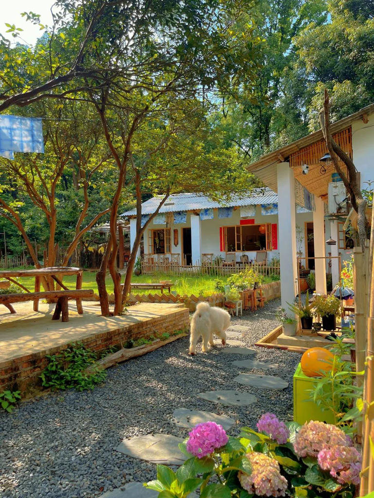 老了，就想有个小院，和你慢慢变老！